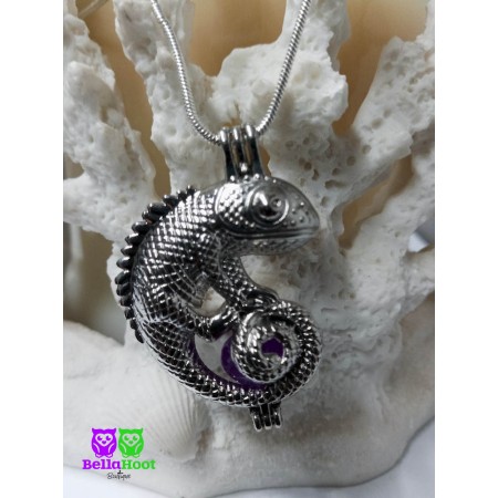 Chameleon Cage Chameleon Cage